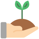 planta un árbol