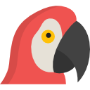 Macaw