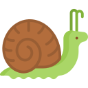 schnecke