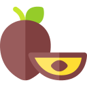 sapodilla