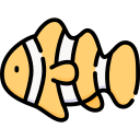 Рыба-клоун