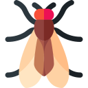 Плодовая муха