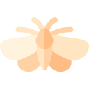 mariposa