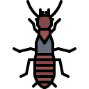 termita