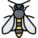 abeja