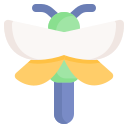 libellula