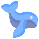 Whale