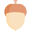 Acorn