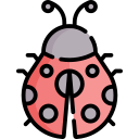 lieveheersbeestje