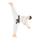 Taekwondo