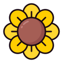 sonnenblume