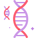 Dna structure