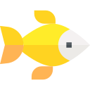 goldfish