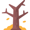 albero secco