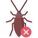 Cockroach