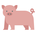 돼지