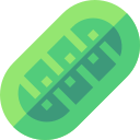 mitochondriën