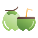 Coconut drink