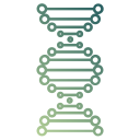 estrutura de dna