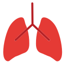 pulmones