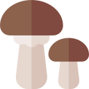 champignon