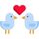 pájaros del amor