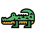 Crocodile