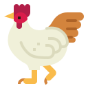 Hen