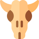 czaszka byka