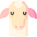 agnello