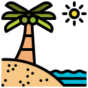 kokosnussbaum