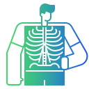 X rays