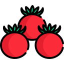 pomidor wiśniowy