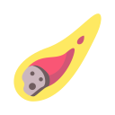 meteorito