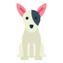 bullterrier