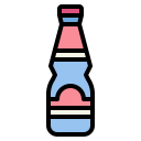 botella