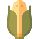 maïs