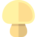 champignon