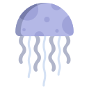 méduse