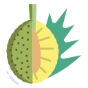 Breadfruit