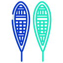 sneeuwschoenen