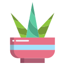 pot