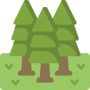 forêt