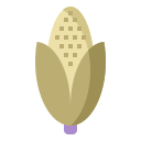 Maize