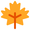 Maple leaf