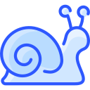 Snail