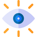 Eye