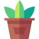 Растение в горшке