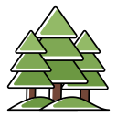 forêt