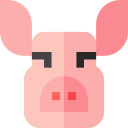 돼지